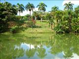Jardín Botánico - SAN JUAN